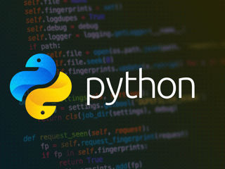 Javascript/Python foto 2