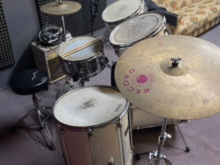 Mapex