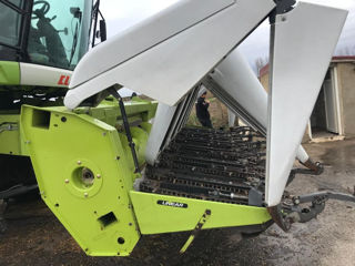 Header porumb CLAAS CONSPEED 2015 foto 7