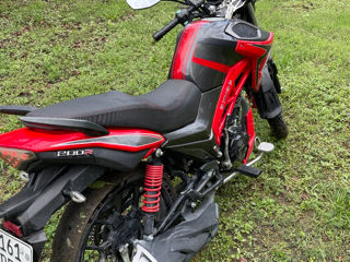 Viper senke 200cc foto 4