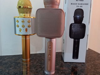 Magic Karaoke YS-68 foto 2