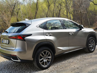 Lexus NX Series foto 5