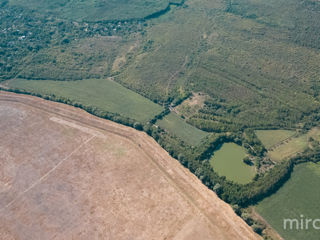 Se vinde teren agricol în or. Vadul lui Vodă! foto 5