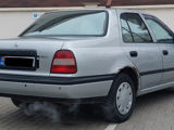 Nissan Sunny foto 6