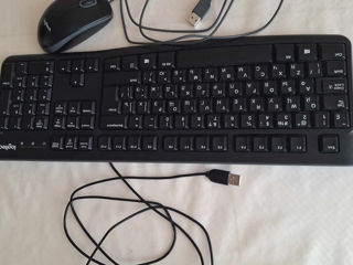 Tastatura + Mouse Logitech K120 Black, Keyboard for Business, USB foto 2