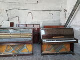 Пианино,рояль,фортопиано foto 2