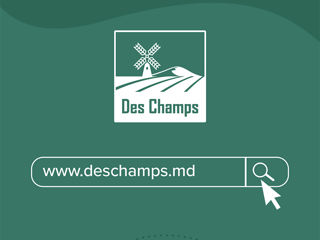Masina pentru cusut saci GK9-2 | Des Champs foto 5