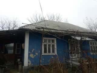 Продам фермерское хозяйство foto 5