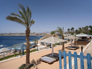 Египет Шарм - Grand Oasis Resort 4*+ -  520 евро - 7 ночей foto 5