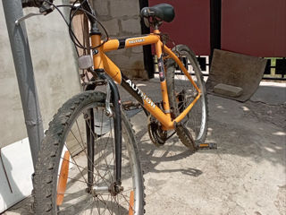 Bicicleta Author foto 8