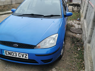 Ford Focus foto 4