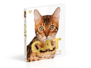 The Cat Encyclopedia: The Definitive Visual Guide (DK Pet Encyclopedias)