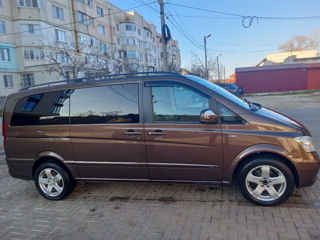 Mercedes Viano foto 4