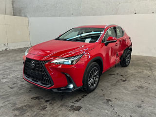 Lexus NX Series foto 2