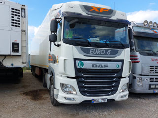 Daf Daf foto 5