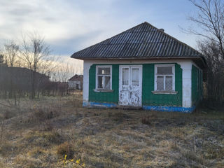 Urgent! Casa la traseul Tirnova-Baraboi.. foto 1