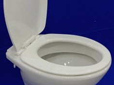 Vas WC ceramic de curte cu capac din plastic / Дачный унитаз с крышкой foto 2