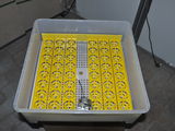 incubator automat 48 oua gaina,rata,ghisca foto 5