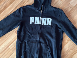 Zip Puma