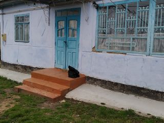 Продаю дом foto 1