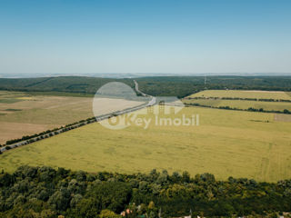 Terenuri agricole, 300 ari, traseul M2 Chișiău – Orhei, 300 000 € foto 5