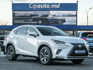 Lexus NX Series