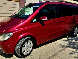 Прокат авто  rent cars chirie auto fara gaj foto 6