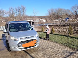 Ford Tourneo Connect foto 4