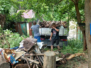 Descoperiți transformarea miraculoasă a terenurilor sălbatice și neîngrijite în locuri fermecătoare foto 2