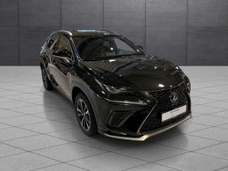 Lexus NX Series foto 4