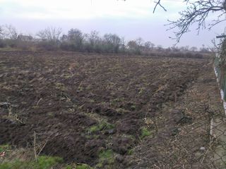 Se vinde casă de locuit cu terenul aferent. foto 5