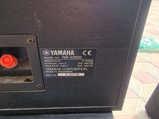 Yamaha boxe foto 4