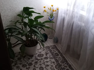 2-х комнатная квартира, 65 м², Буюканы, Кишинёв