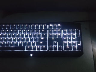 Комплект клавиатура Razer Blackwidow + Мышка Logitech G102 + Наушники