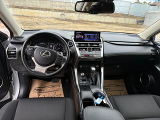 Lexus NX Series foto 14