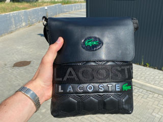 Lacoste foto 4