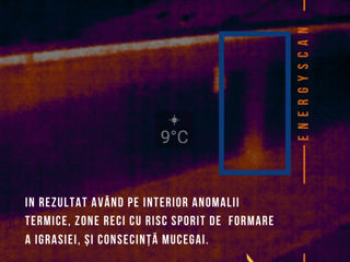 Тепловизионное обследование бесплатно! озонирование помещений бесплатно! foto 11