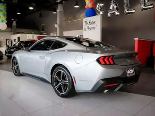 Ford Mustang foto 6