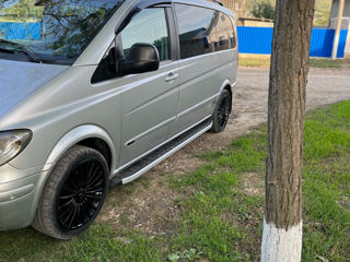 Mercedes Viano foto 4