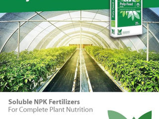 Poly-Feed Foliar / NPK Foliar / Haifa Chemicals Ltd. foto 2