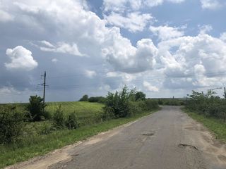 se vinde teren agricol 324 Sote Colonita prima linie  7KM de la Ciocana. Direct de la propiietar foto 6