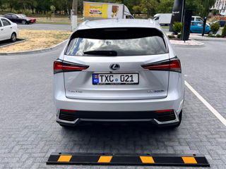 Lexus NX Series