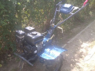 Motobloc 7hp benzin