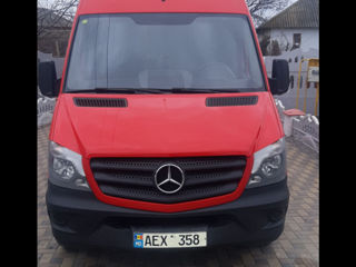 Mercedes Spriner