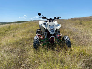 Suzuki Ltz 450 foto 6