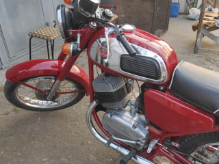 Jawa Ява Вишневка