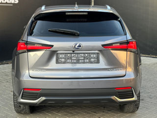 Lexus NX Series foto 5