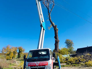 Arenda masini autoturn 24/7 in toata moldova! foto 5