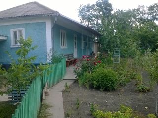 Se vinde casa in centrul satului Pelinia, rn. Drochia