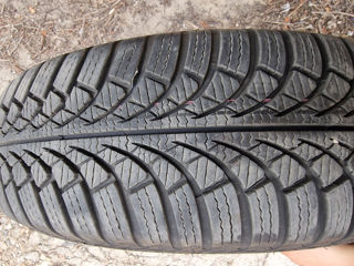 Set Anvelope Goodyear  noi 195/65/15 toate 4 foto 3